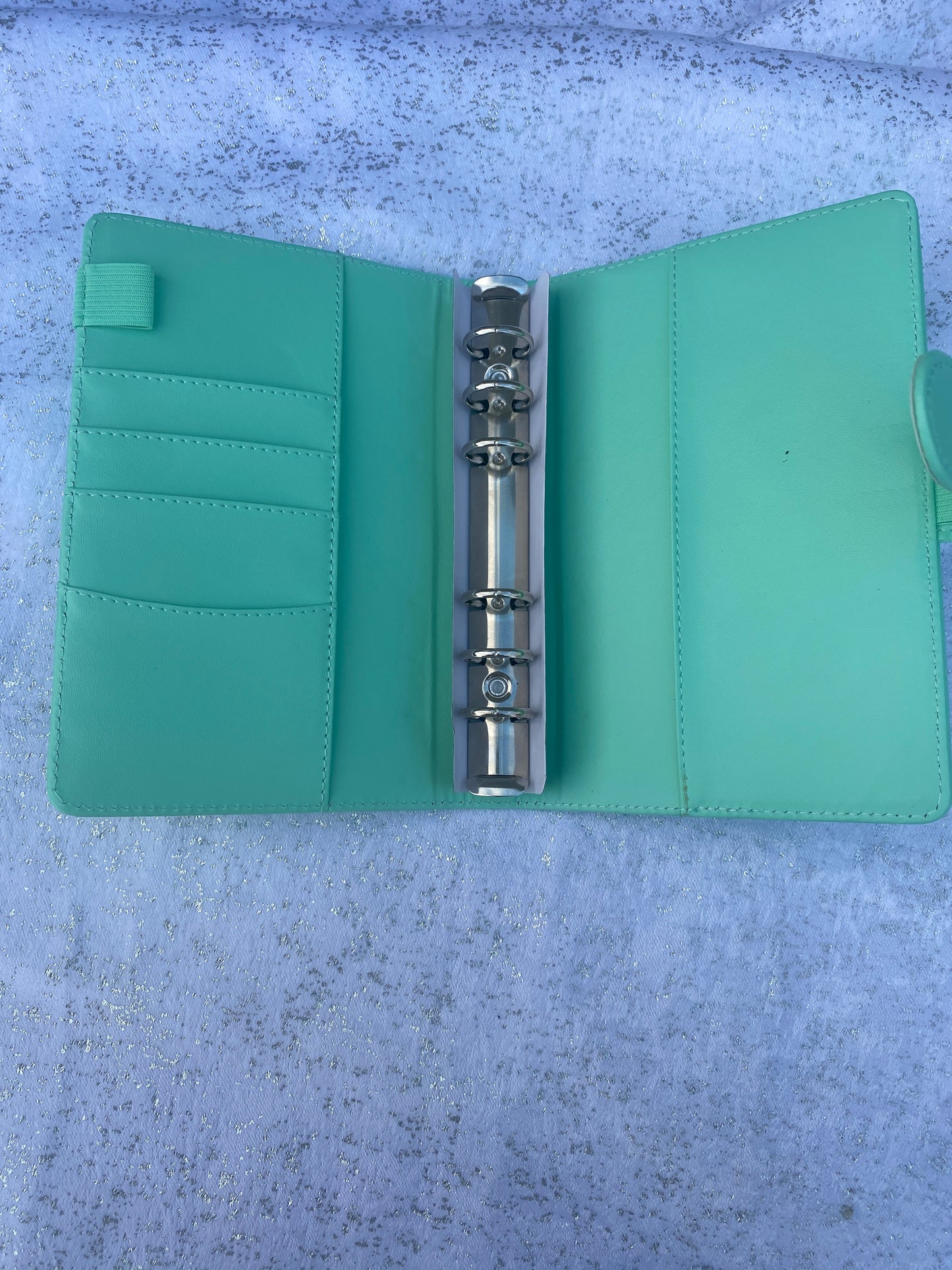 Budget Binder Only