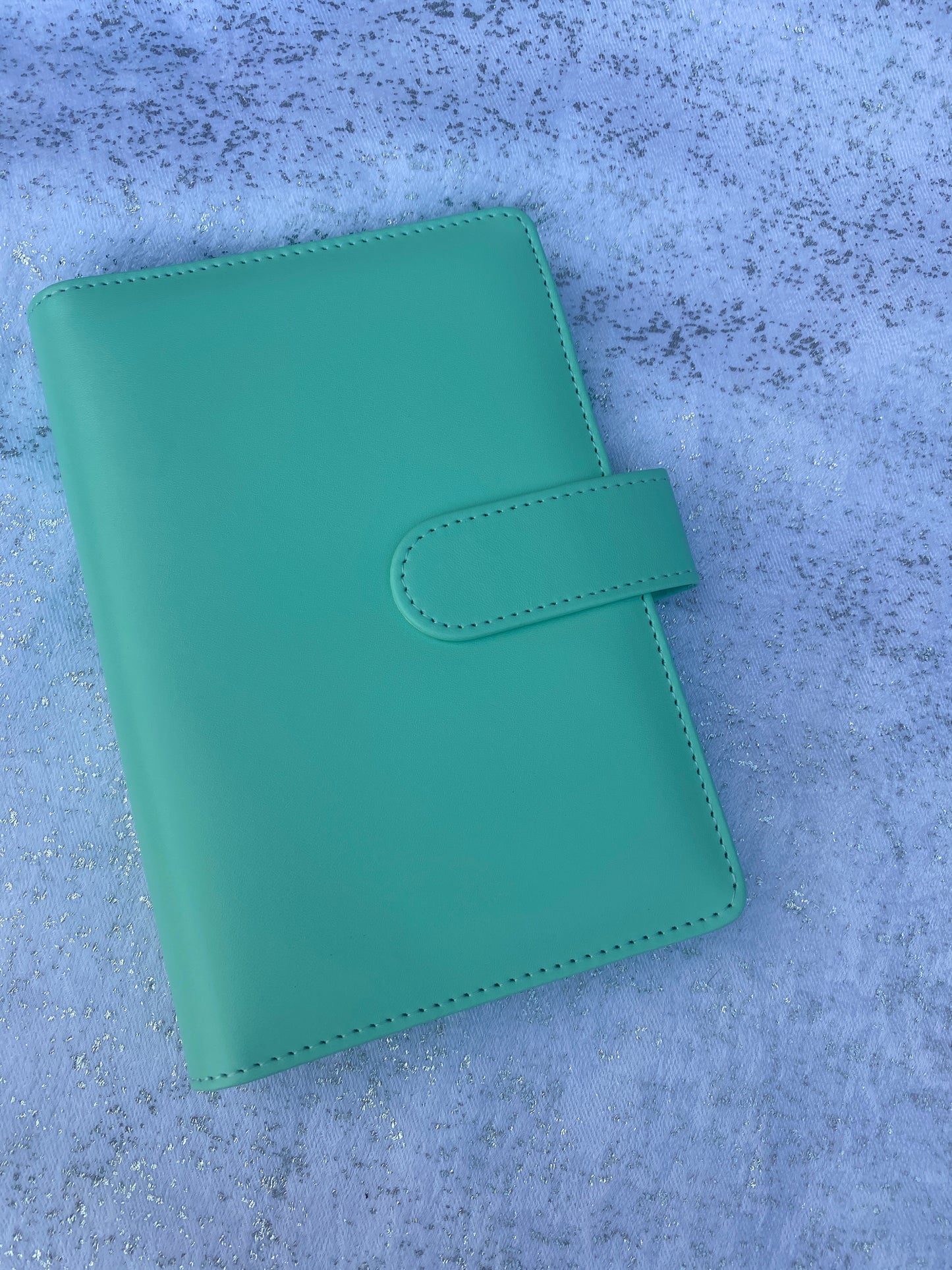 Budget Binder Only